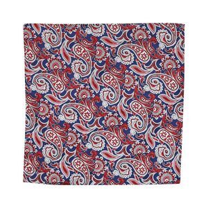 Ryan Seacrest Mens Printed Pocket Square, NWT